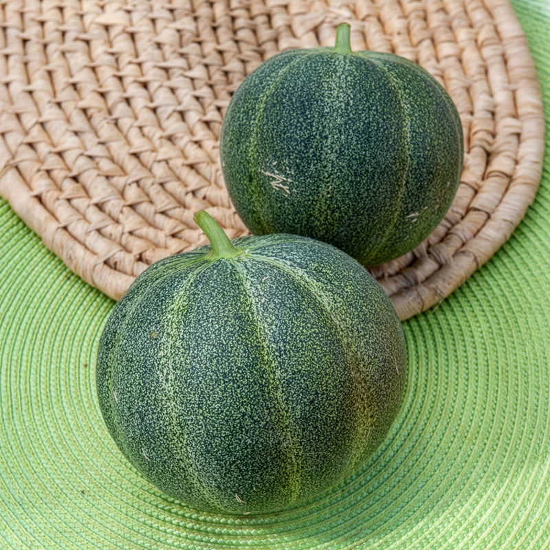 Honigmelone Petit Gris de Rennes