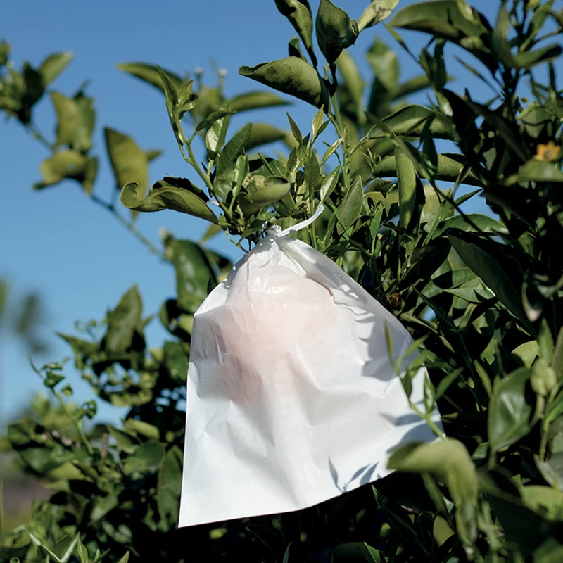 Obstbeutel