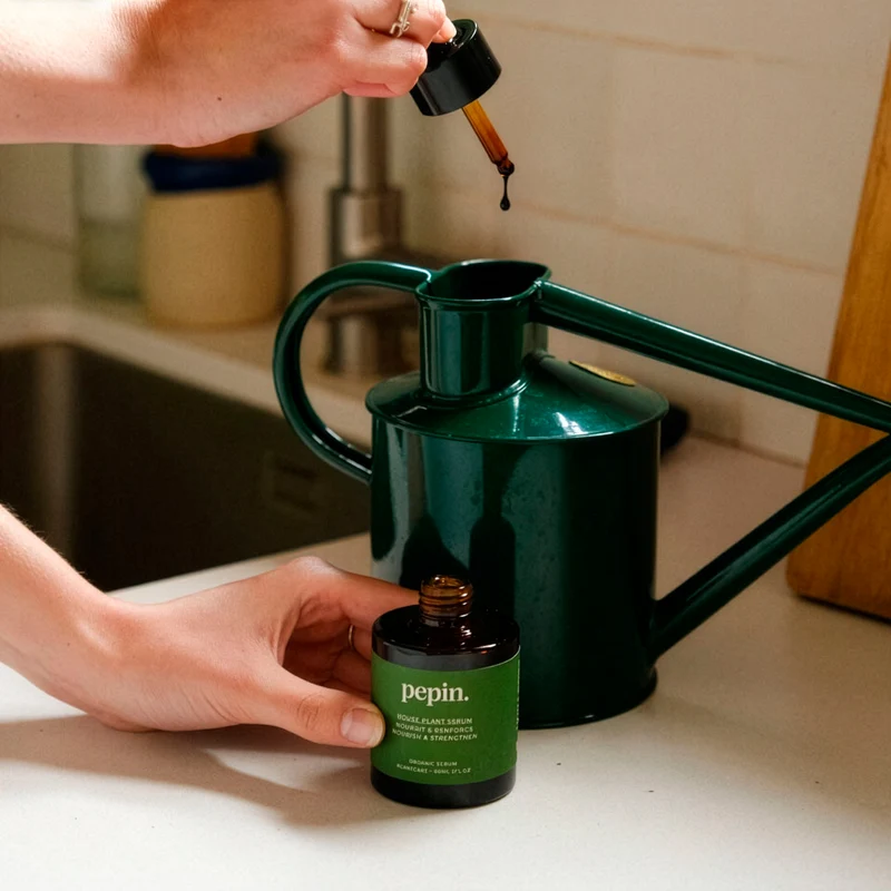Pflegendes Serum – Grüne Pflanzen