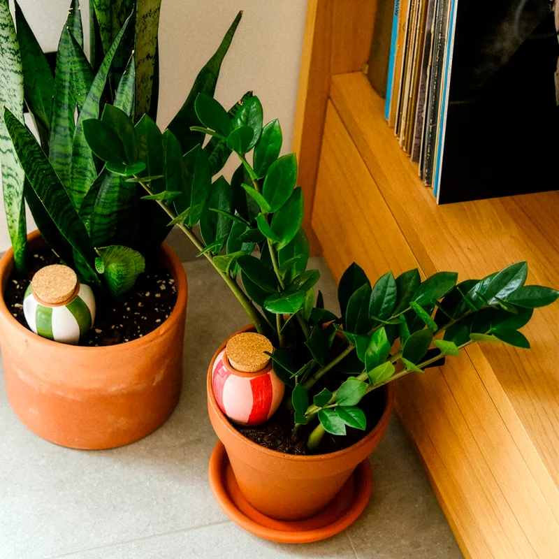 Trio Mini Ollas - Der Gestreifte