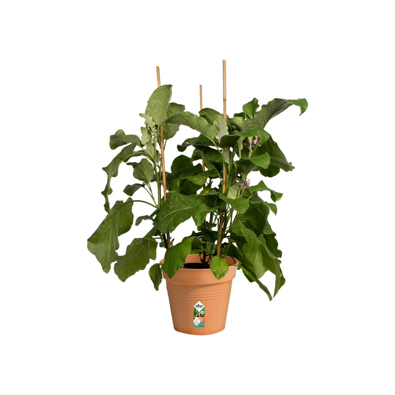 Anzuchttopf Green Basics Mild Terra ELHO