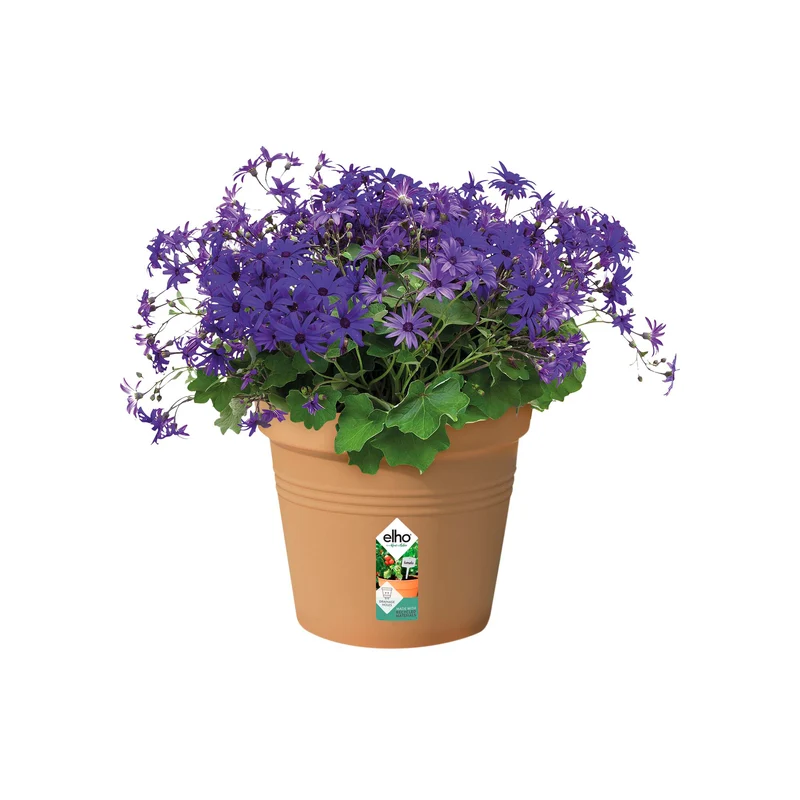 Anzuchttopf Green Basics Mild Terra ELHO