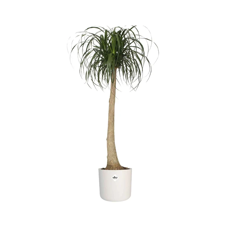 Elho Blumentopf B.for soft rund weiß