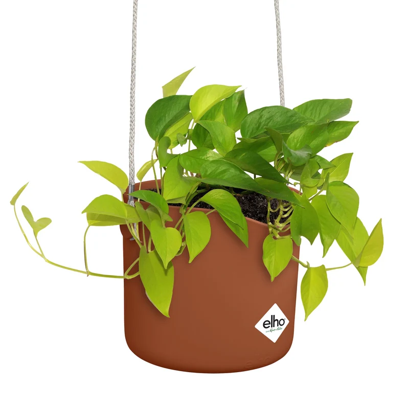 Aufhängung B für Swing terrakotta ELHO