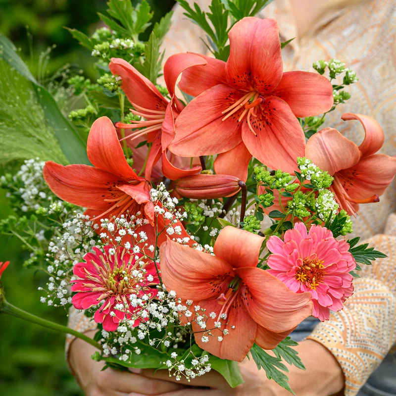 Asiatische Lilien und Blumenmischung