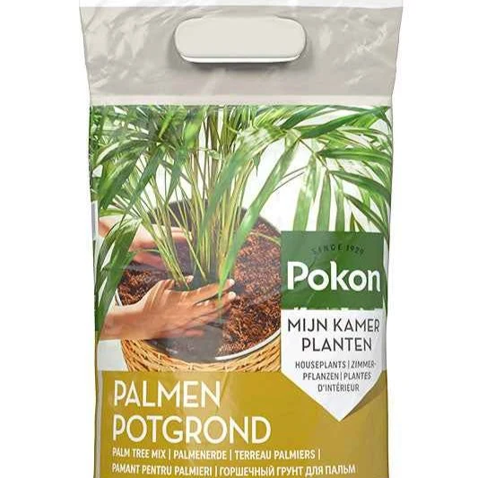 Pokon Palmenerde