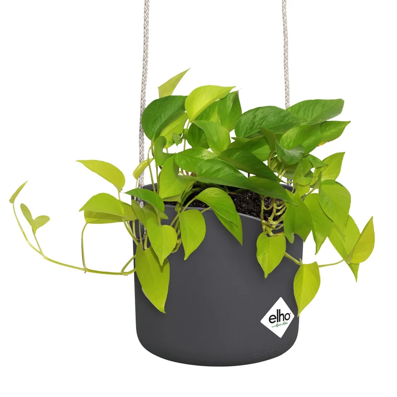 Aufhängung B für Swing grau ELHO