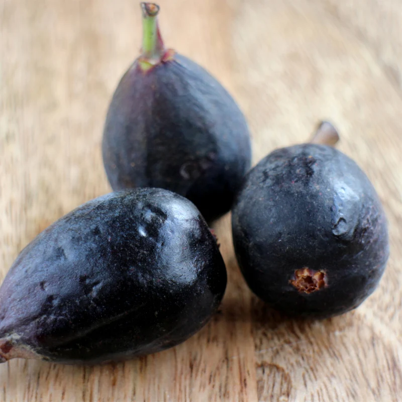 Feige 'Noire de Caromb'