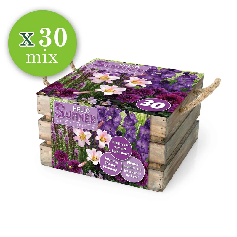 Blumenzwiebeln Mischung 'Hello Summer!' (x30)