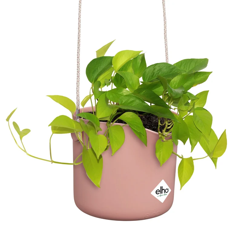 Aufhängung B für Swing rosa ELHO