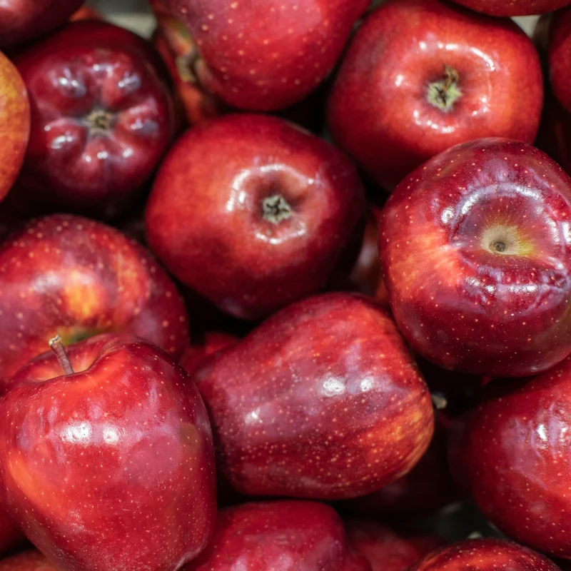 Apfelbaum Red Chief