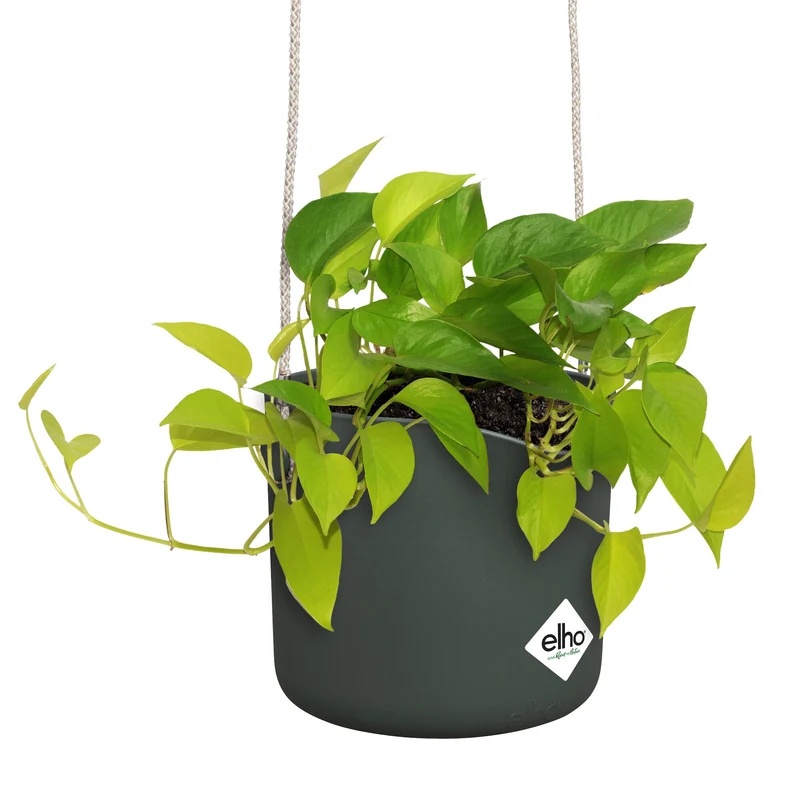 Aufhängung B für Swing grün ELHO