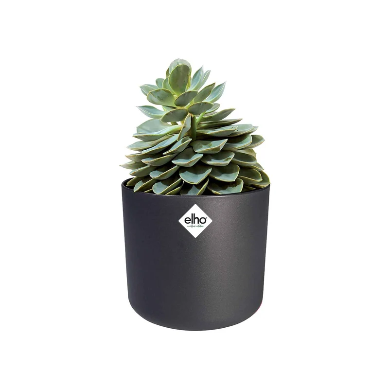 Elho Blumentopf B.for soft rund anthrazit