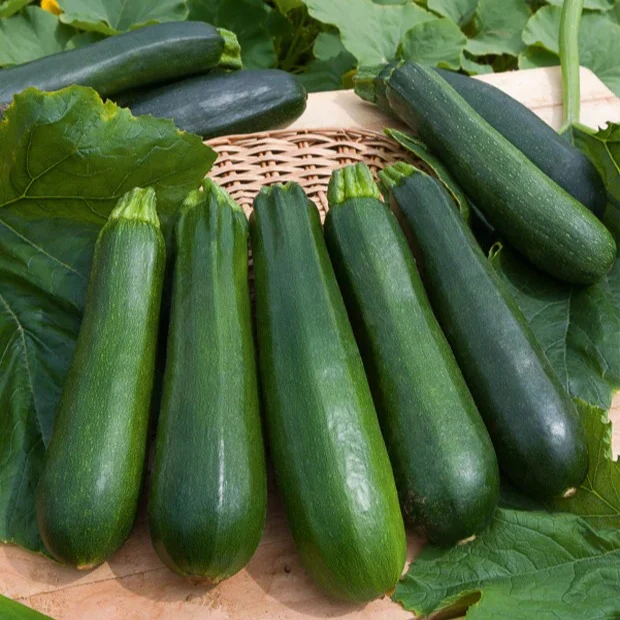 Saatgut-Kollektion für Gemüsegarten (x7)