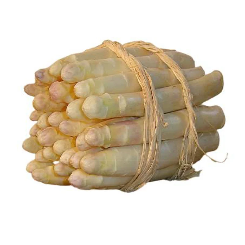 Spargel Argenteuil (x10)