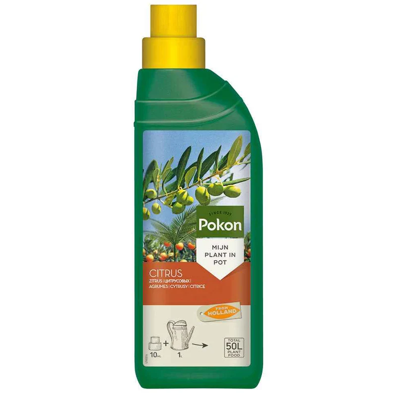 Pokon Flüssigdünger für Zitronenbäume & mediterrane Pflanzen