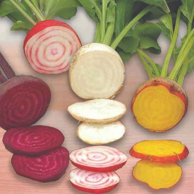 Rote-Bete-Mischung ‘Hullahup’