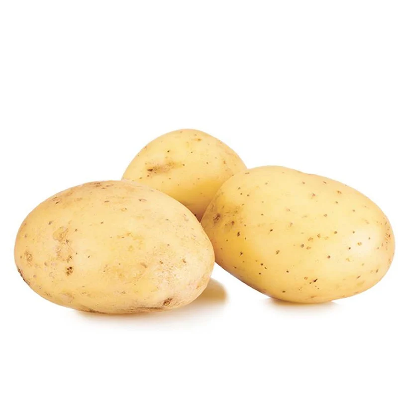 Kartoffel ‘Étincelle’ (x25)