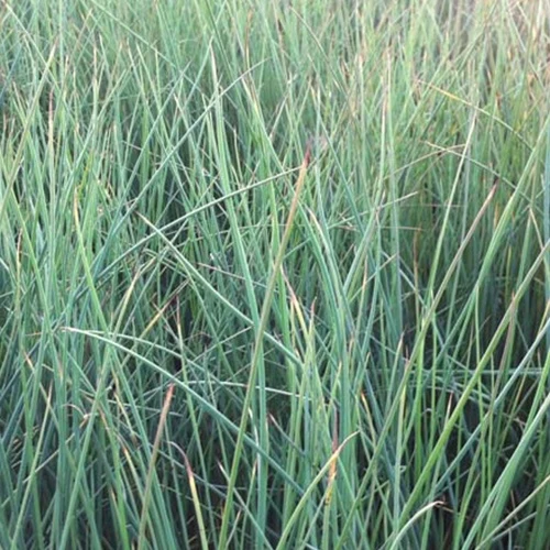 Gebogene Stäbe (x3)
