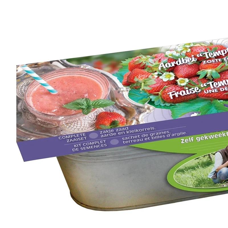 Erdbeersamen-Set