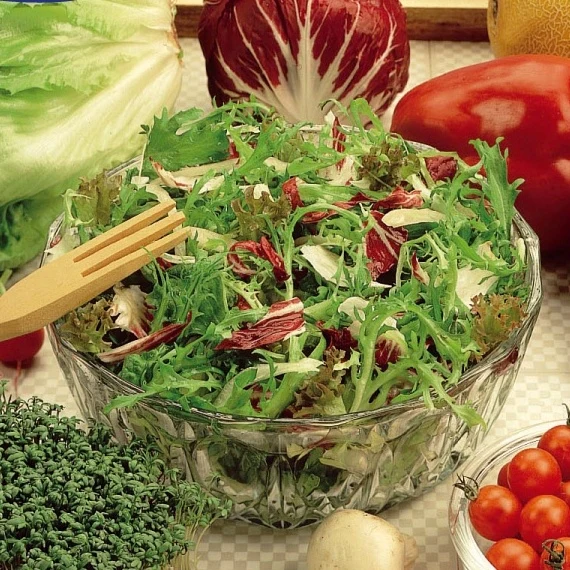Salat in einer Gastronomenschnittmischung