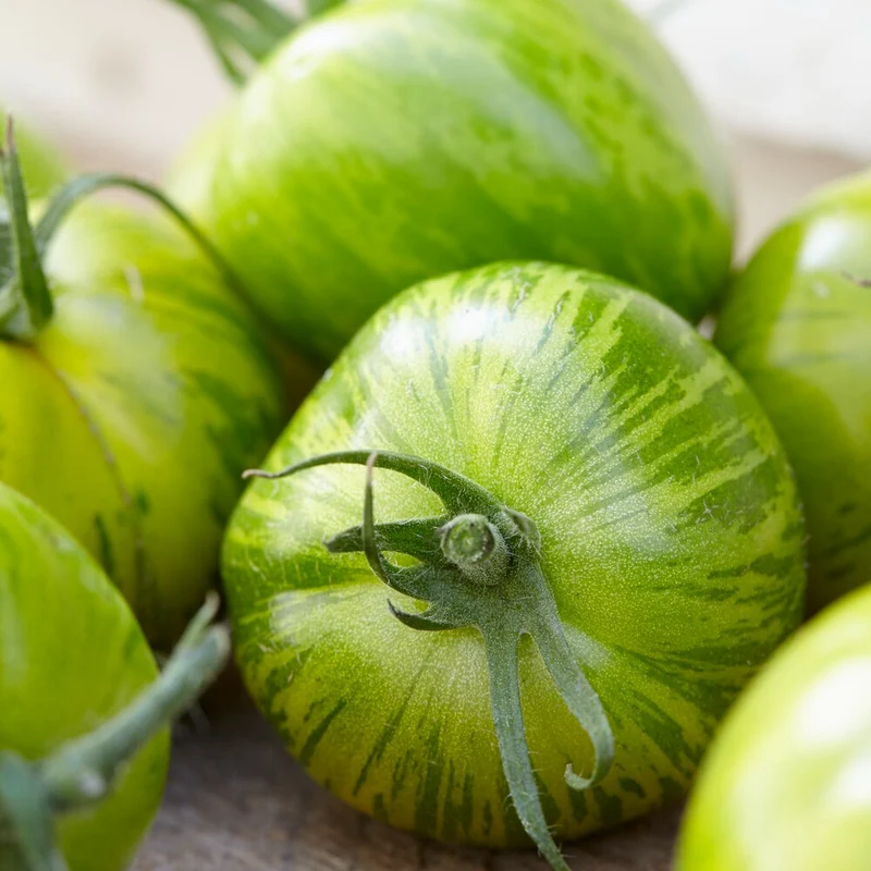 Tomate ‘Green Zebra’