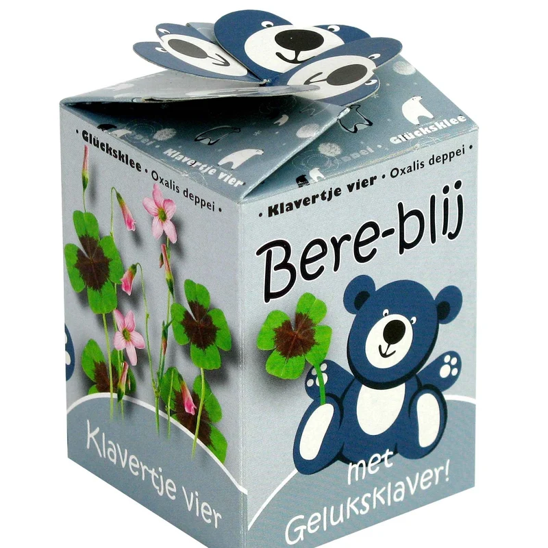 Glücksklee ‘Happy Bear’