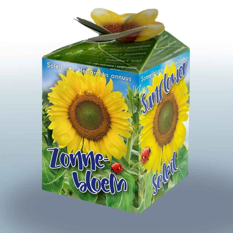 Sonnenblumen-Set