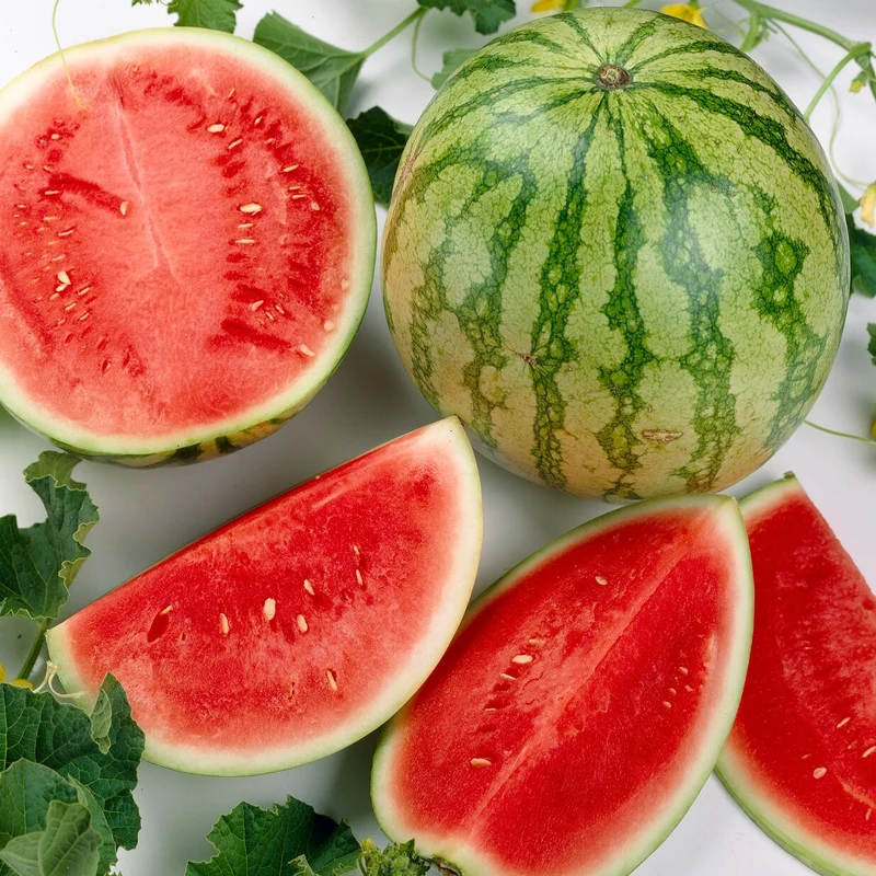 Wassermelone Crimson Sweet Bio
