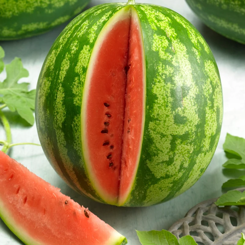 Wassermelone Crimson Sweet Bio