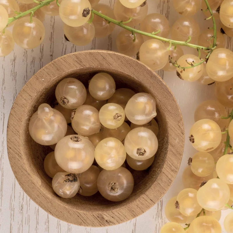 Weiße Johannisbeere White Pearl
