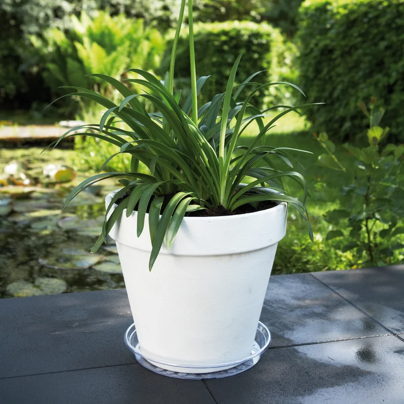 Elho Untertasse Uni-Saucer transparent