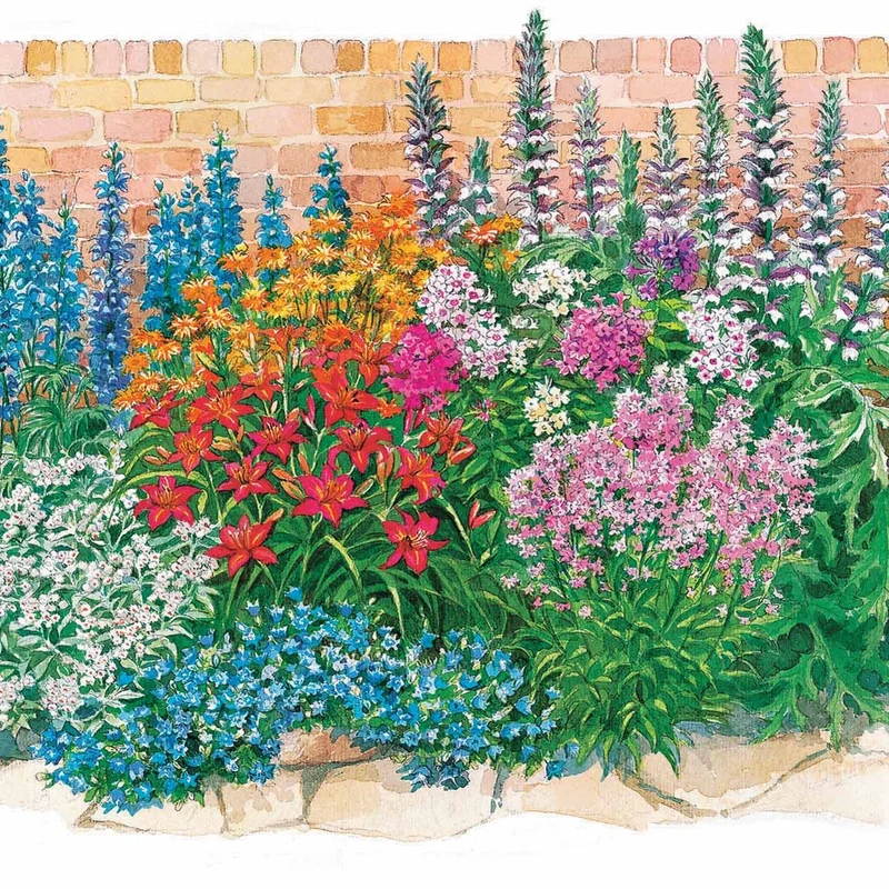 Sommerblumenbeet – Staudenmix (18 Pflanzen)