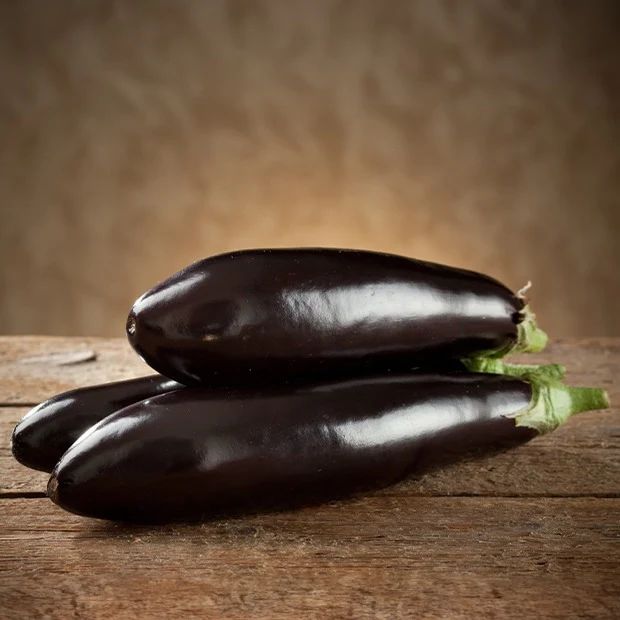 Aubergine ‘Violette de Barbentane’