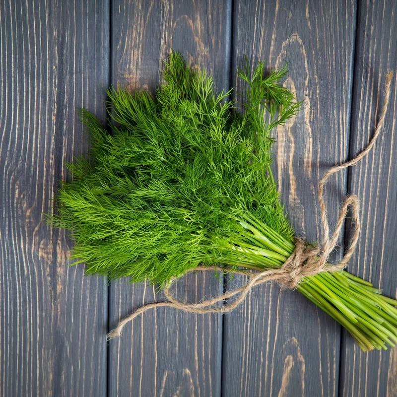 Dill Bouquet