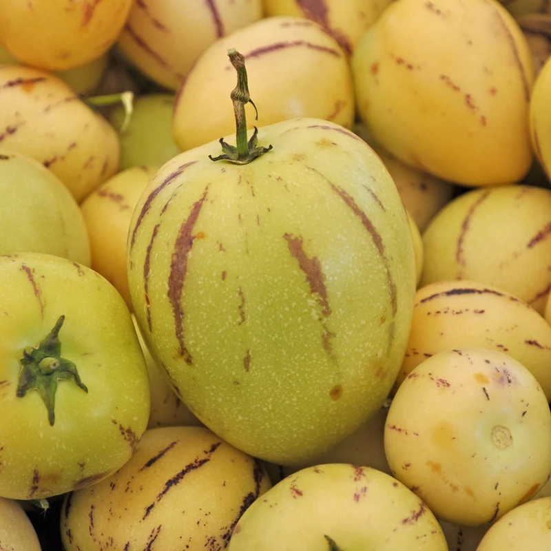 Melonenbirne