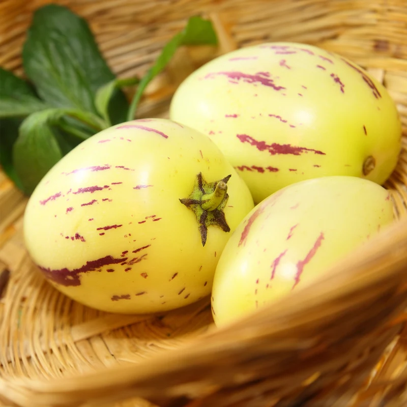 Melonenbirne