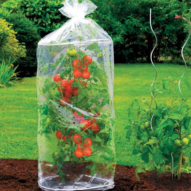 Tomaten-Schutzhüllen (x2)