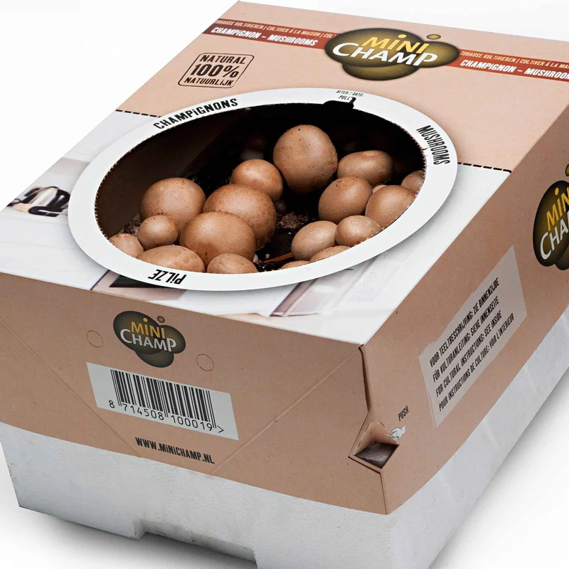 Champignon-Zuchtset Braune Champignons