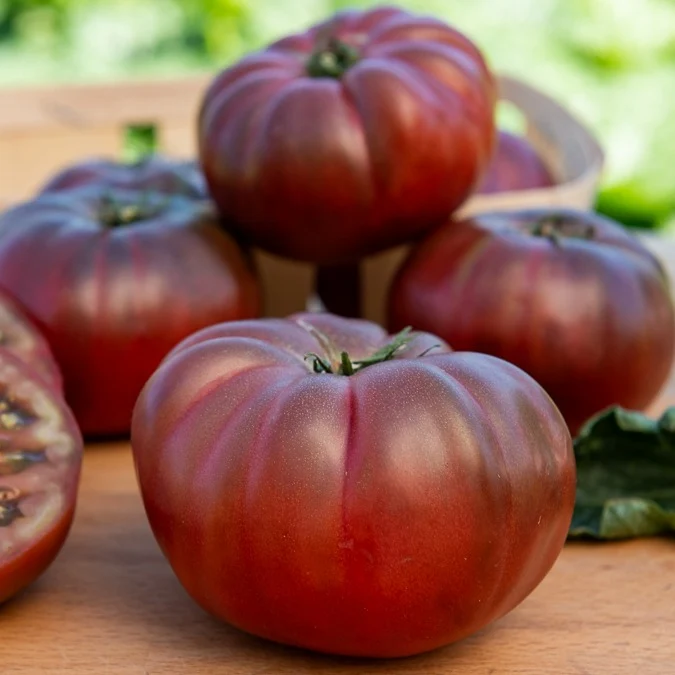 Tomate ‘Noire de Crimée’