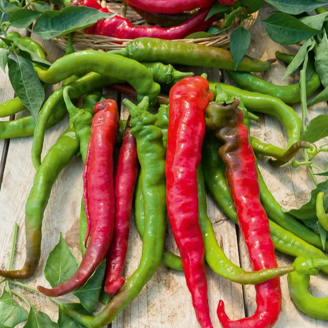 Paprika mild ‘Tres long des Landes’