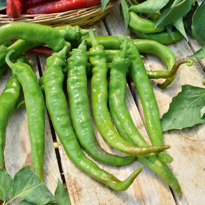 Paprika mild ‘Tres long des Landes’