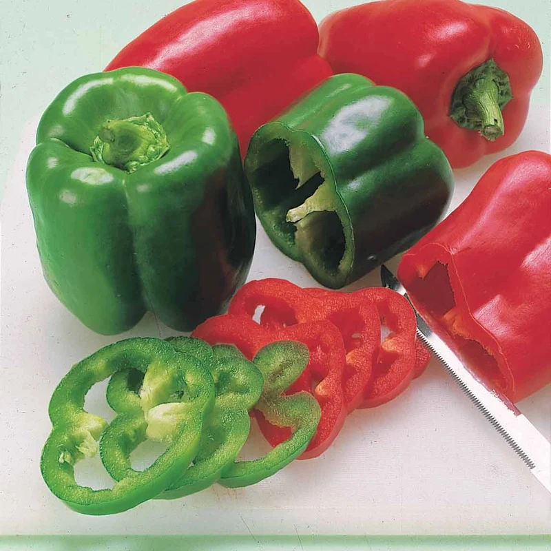 Paprika Lamuyo F1