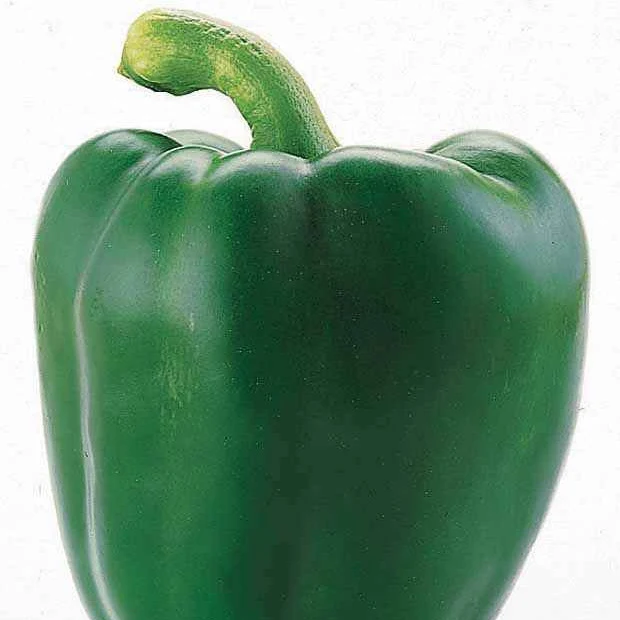 Paprika Lamuyo F1