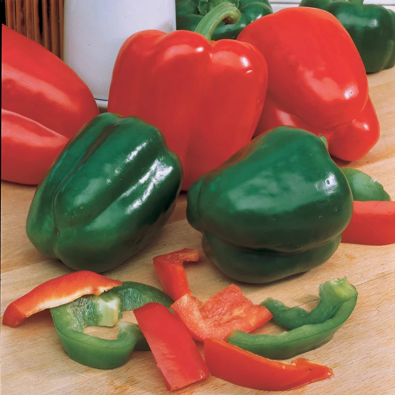 Paprika Lamuyo F1