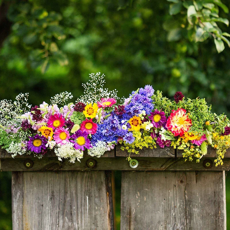 Blumen Saatmatte für Blumenkästen