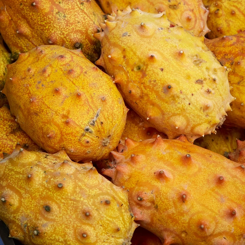 Kenia-Gurke (Metulon)
