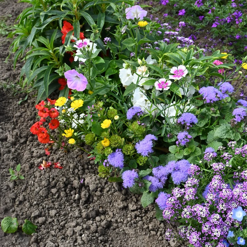 Spezieller Blumenteppich für Blumenkästen