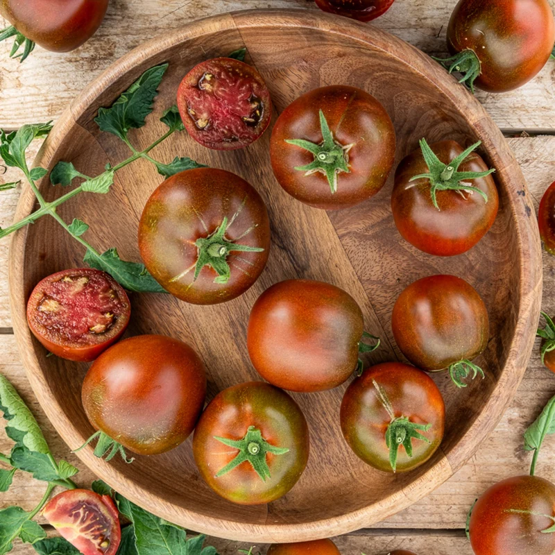 Schwarze Fleischtomate 'Noire Russe'
